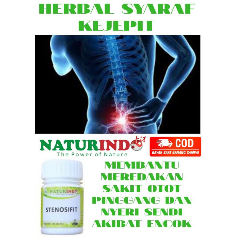 NATURINDO STENOSIFIT(herbal spesial syaraf pinggang)