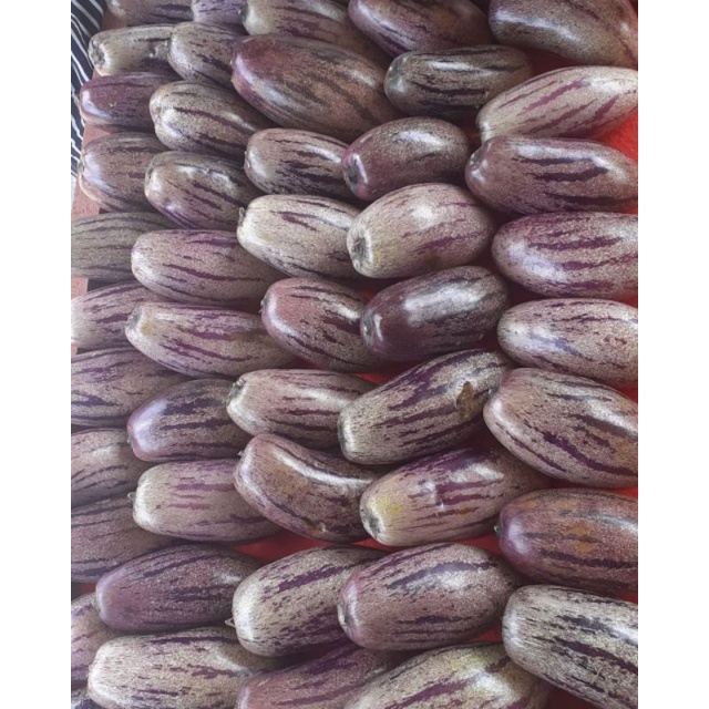

PEPINO FRESH 1KG