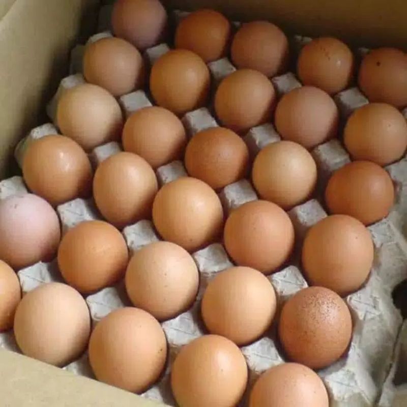 

TELUR AYAM NEGERI 500grm