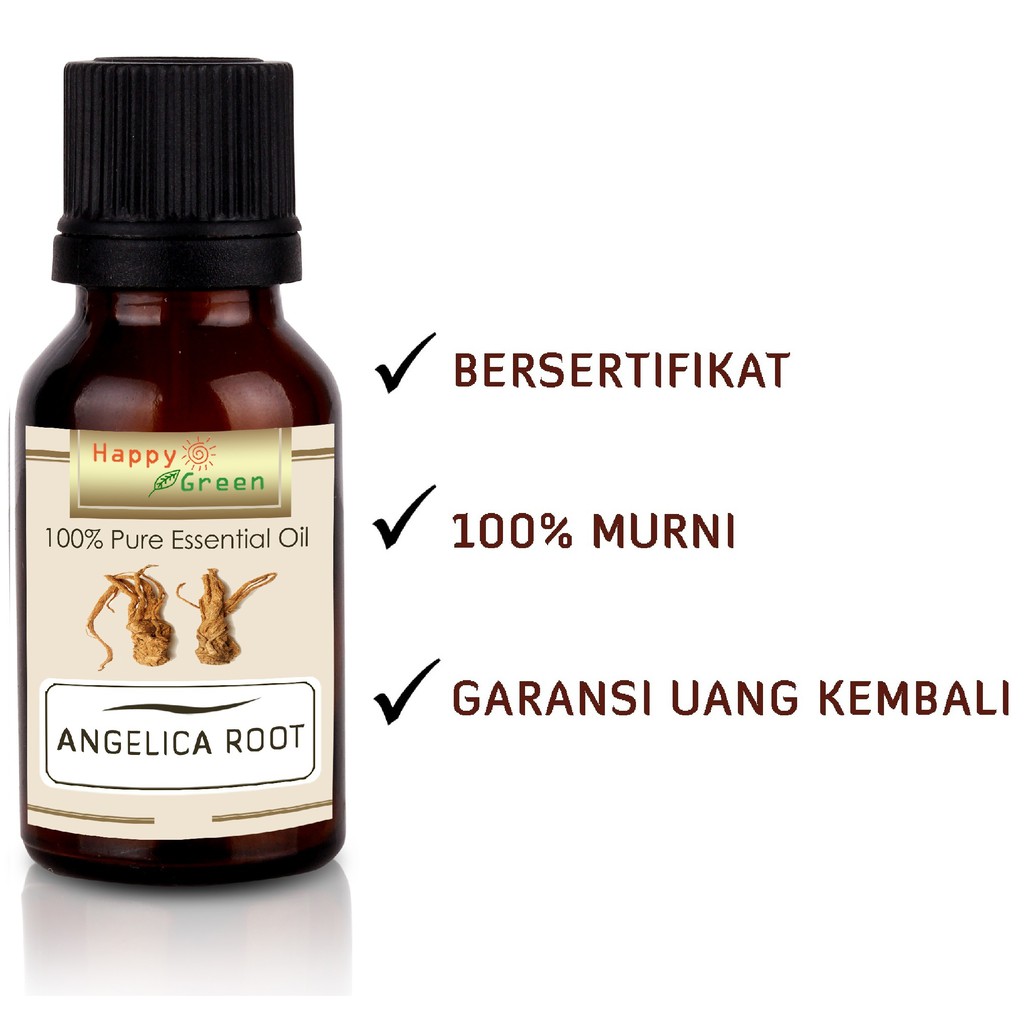 Happy Green Angelica Root Essential Oil 100% Murni Natural