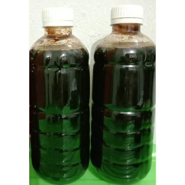 

Madu Hitam Asli Hutan Sumatera