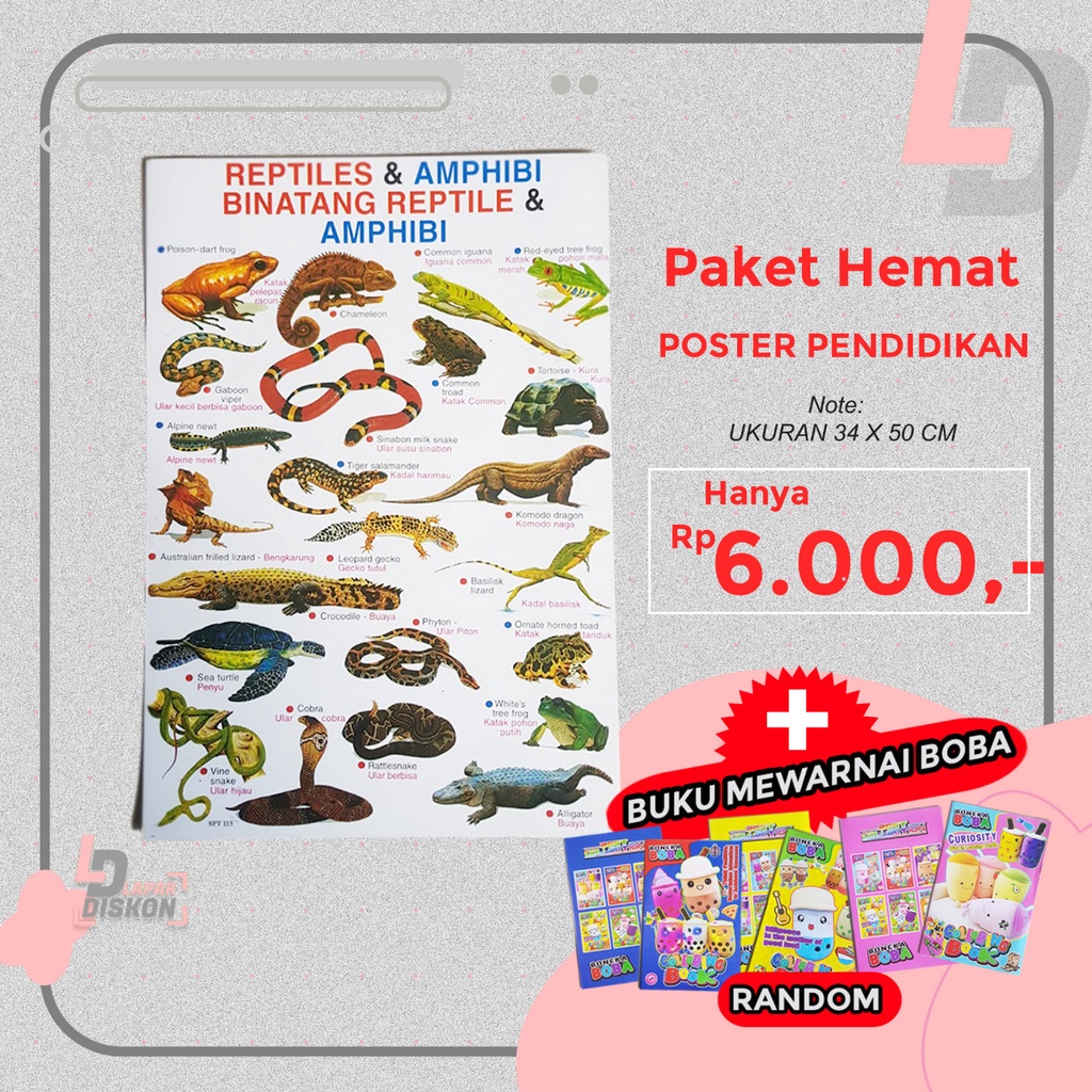 

PAKET HEMAT !!! Poster Pendidikan Mengenal Binatang Reptile + Mewarnai Boba | Poster | Hewan Reptile