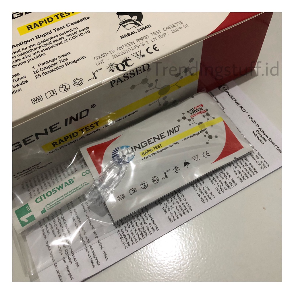 ALAT SWAB ANTIGEN LUNGENE IND ORIGINAL 1 PCS MANDIRI RAPID TEST KEMENKES ALAT SWAB COVID19