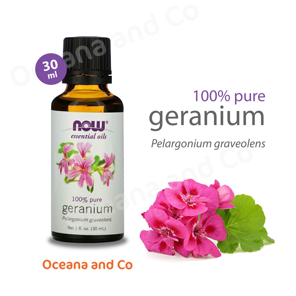 Now Essential Oil Geranium Oil 30 ML