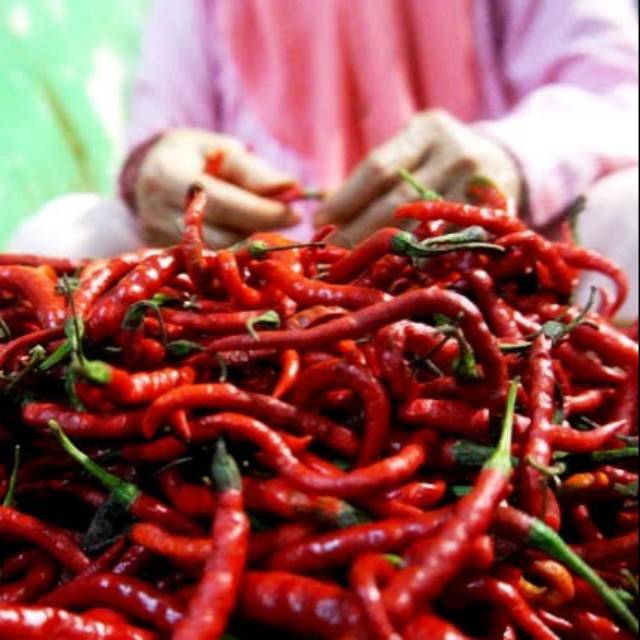 

Cabe Merah Keriting Kiloan