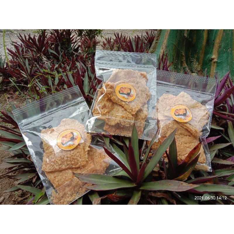 

Keripiktempe_punari