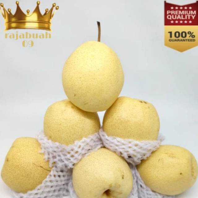 Jual Fresh Buah Pir Madu 1 Kg Fresh Manis Pear Madu Shopee Indonesia 