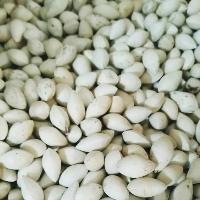 Ginko nut /pekko/pekkoi 250gr