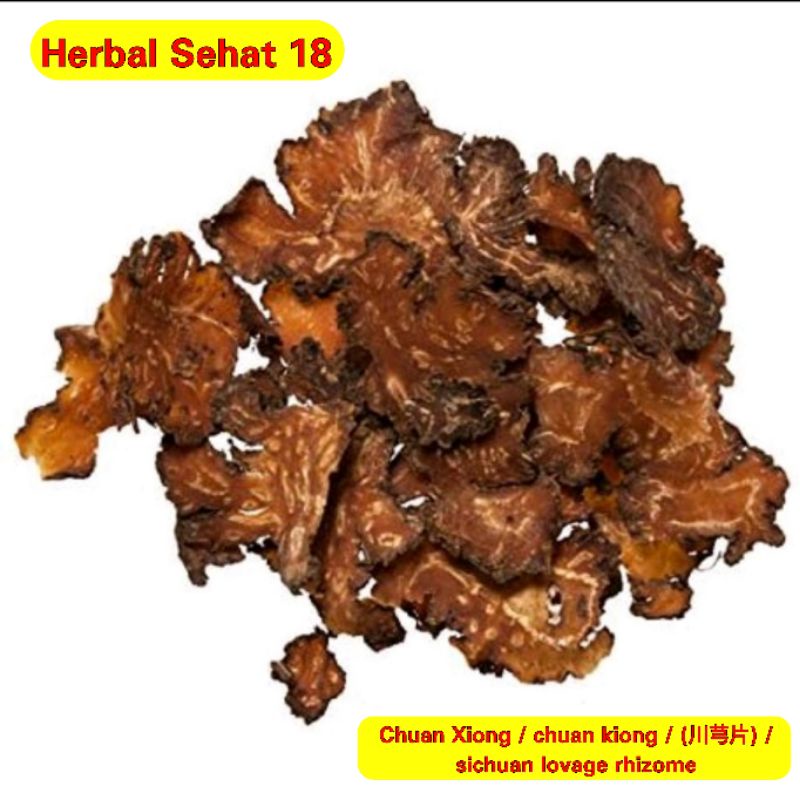 

10 Gram Cuan Kiong / Chuan Kiong / Chuan Xiong 川芎 / Premium Chuan Xiong Sichuan Lovage Cuan Kiung