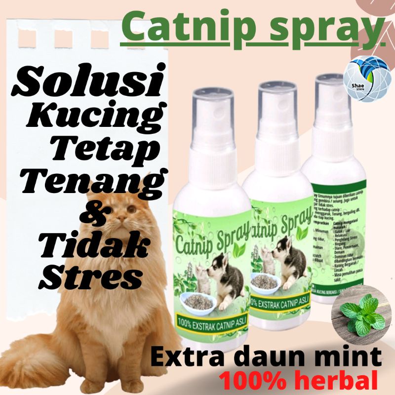 Penghilang Stres Cat Kitten Kucing catnip Spray 60ml