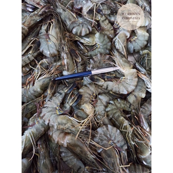 

UDANG TIGER / UDANG WINDU / UDANG PANCET 1 KG (30-40 ekor)