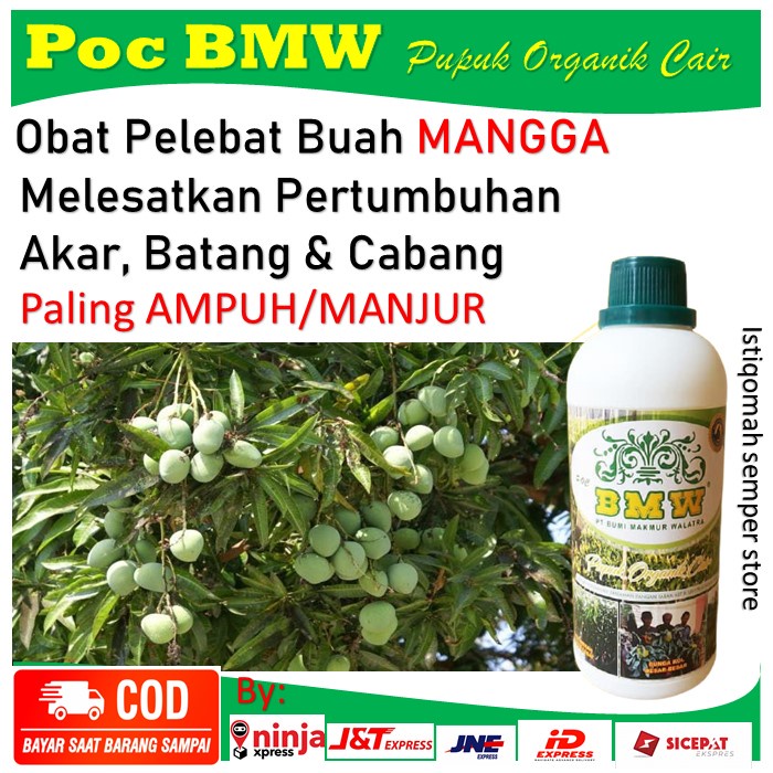 Poc BMW 500 ML Pupuk Organik Cair Pelebat Buah Mangga - Pupuk Perangsang Akar, Batang & Cabang Pada 
