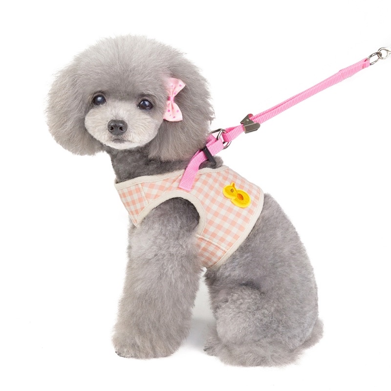 Ducky dodo harness leash set