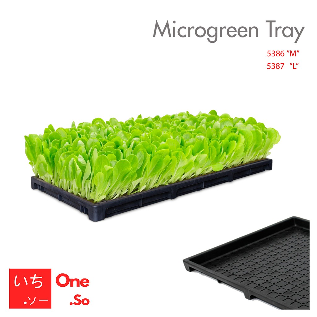 Microgreen Tray  / Tray semai padi (5386 M/5387 L)