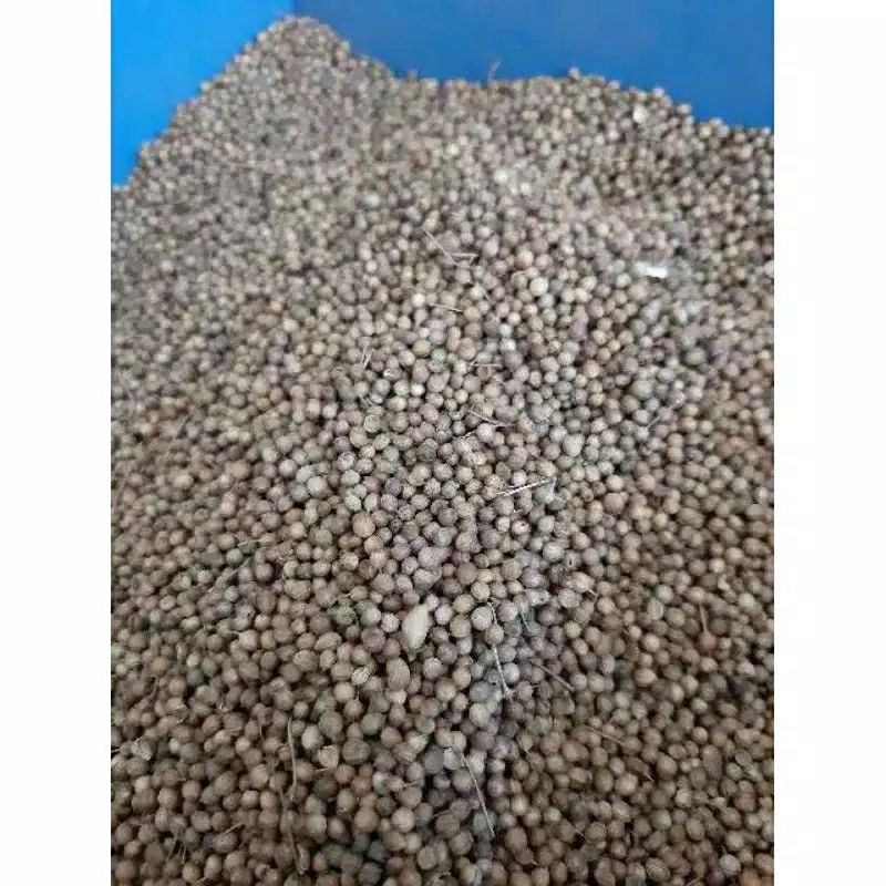 

Ketumbar Hitam Asli 1kg