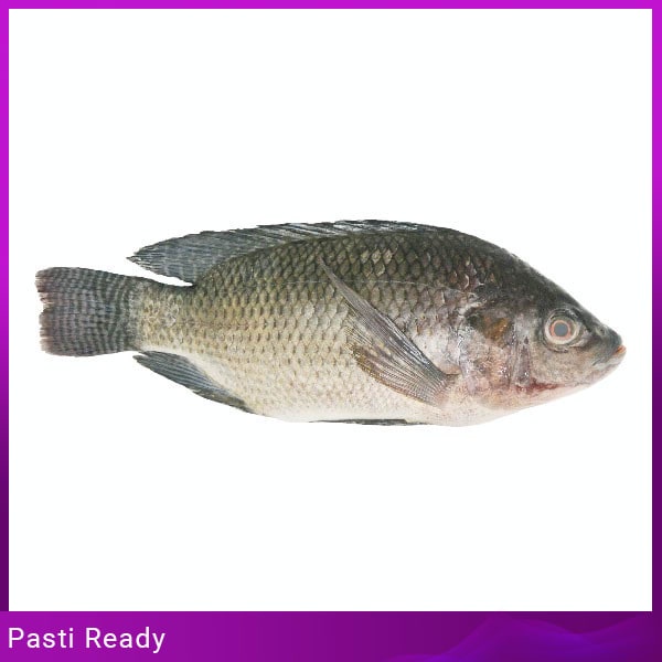 

IKAN FRESH MUJAER 240 GR Grosir Bisa COD