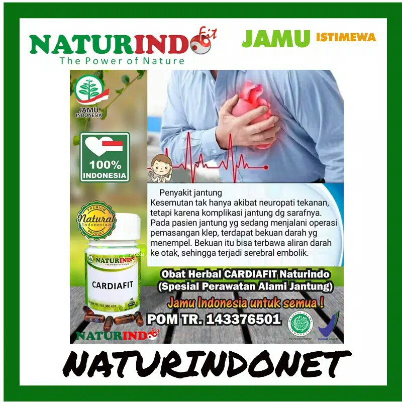 

nutrisi jantung