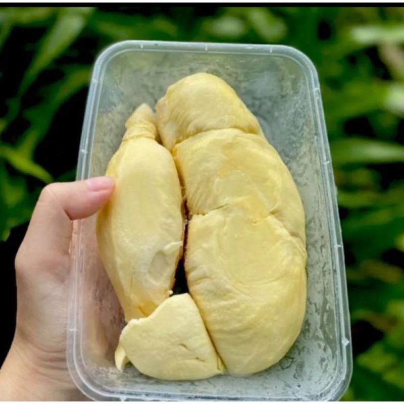 

Durian Monthong Bali