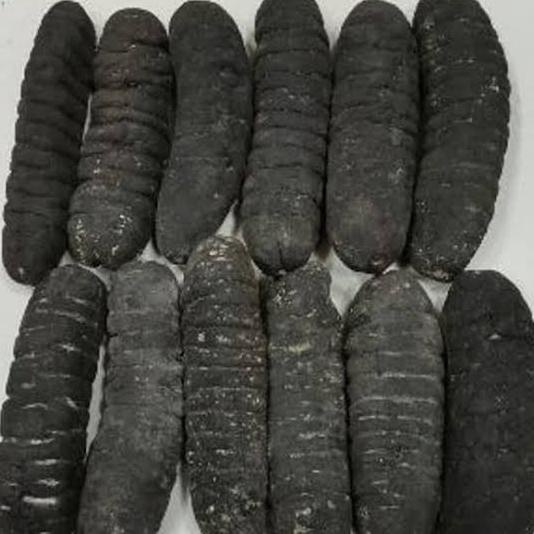 

Haisom Kering Teripang Asli Belitung 1Kg Isi 40 / Lintah Laut Hoisem