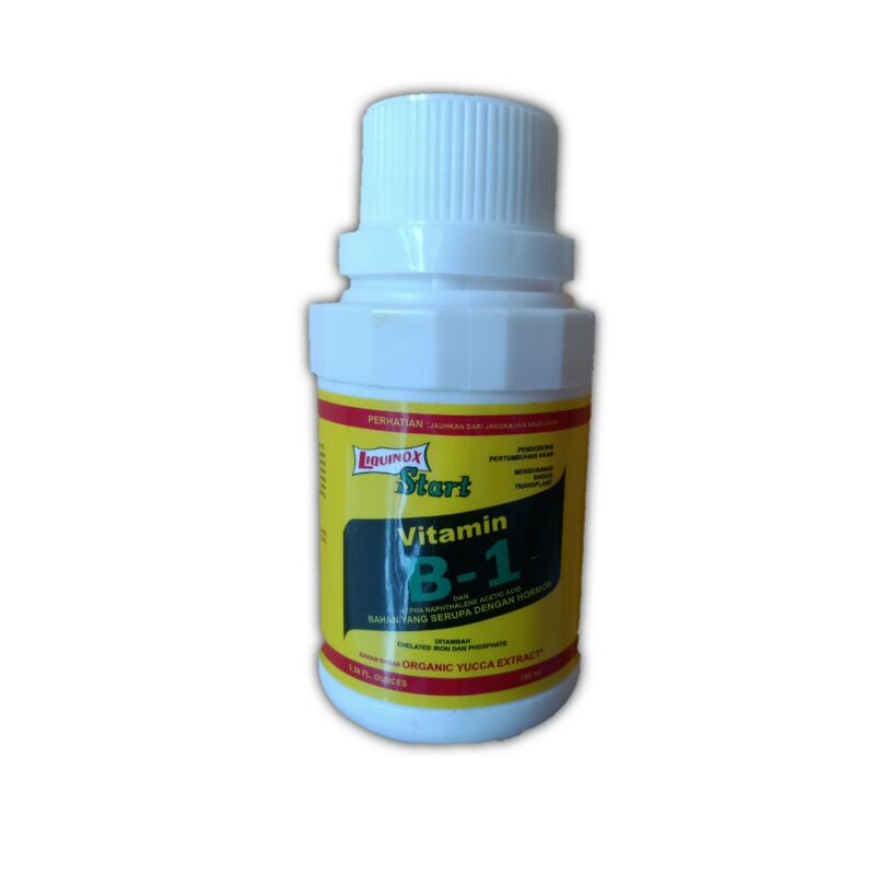 Vitamin Aglonema anggrek tanaman hias