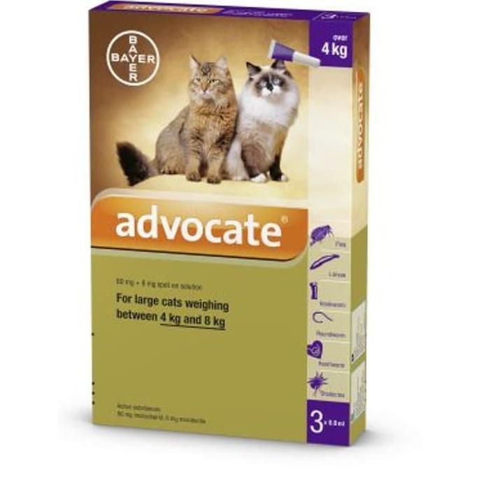 

Termurah Obat Kutu Kucing Advocate Cat Over 4 Kg Harga 1 Tube Termurah