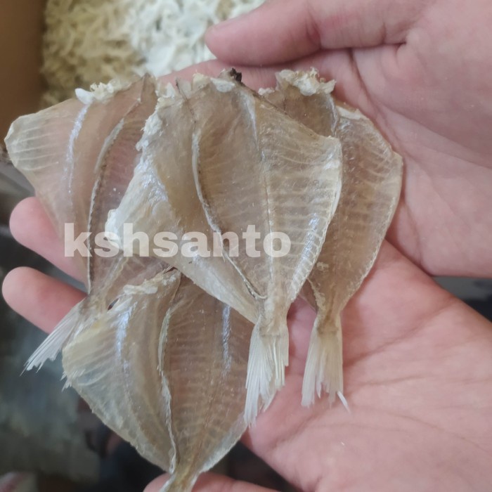 

ds201fs Ikan Asin Kapasan Pakang Kering 500Gram Dscscv