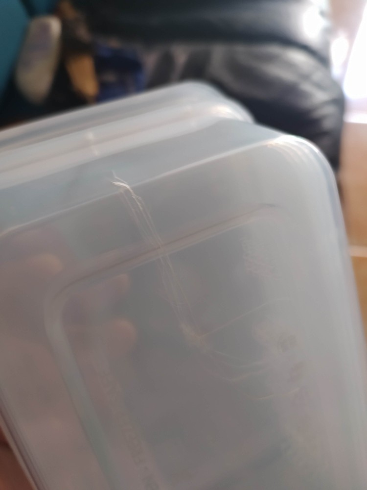 Thinwall Persegi Panjang (rectangle)  750ml/tempat Salad/box Nasi