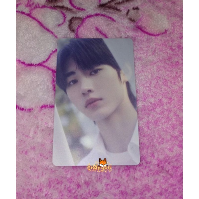 [Baca Deskripsi] PC JAPAN HAKANAI STANDARD PUTIH ENHYPEN SUNGHOON