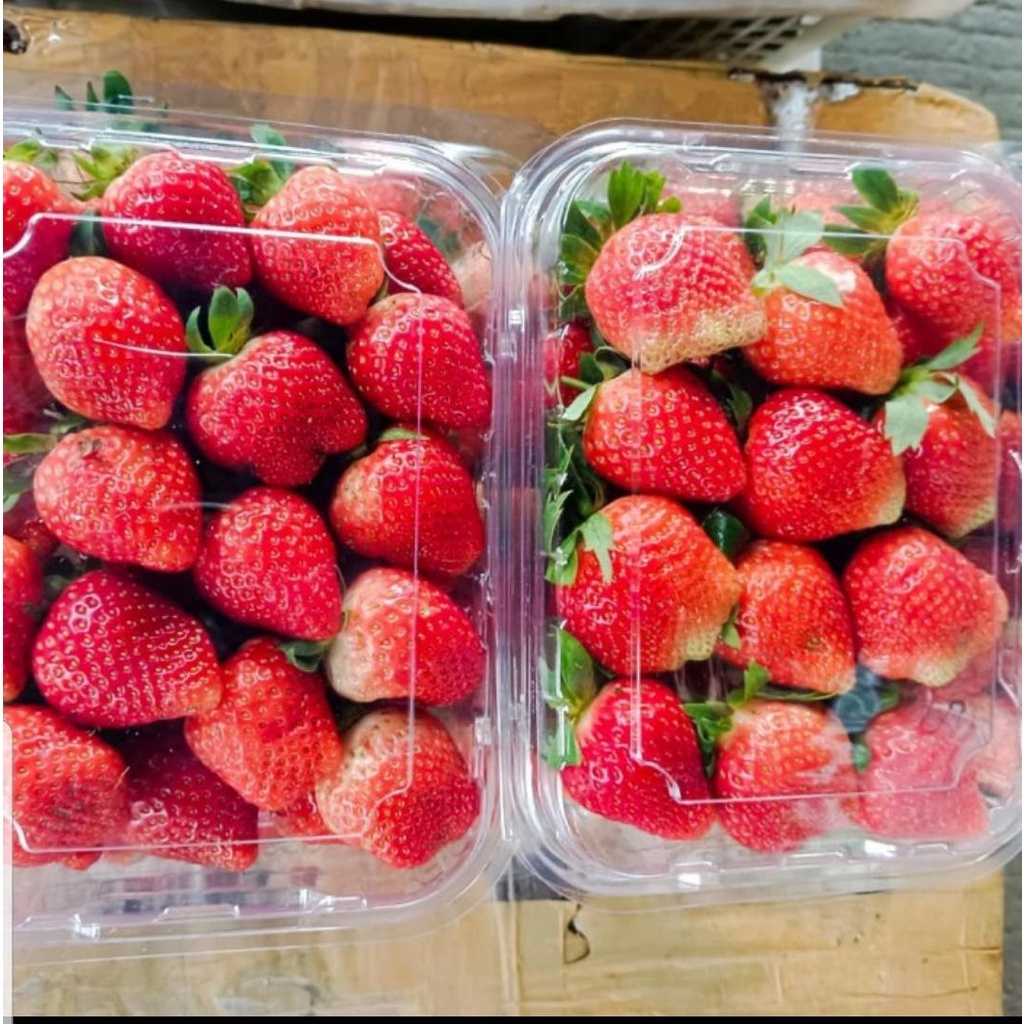 

STRAWBERRY ORGANIK FRESH GRADE A 500GR/STRAWBERRY MURAH BANGET /STRAWBERRY FRESH