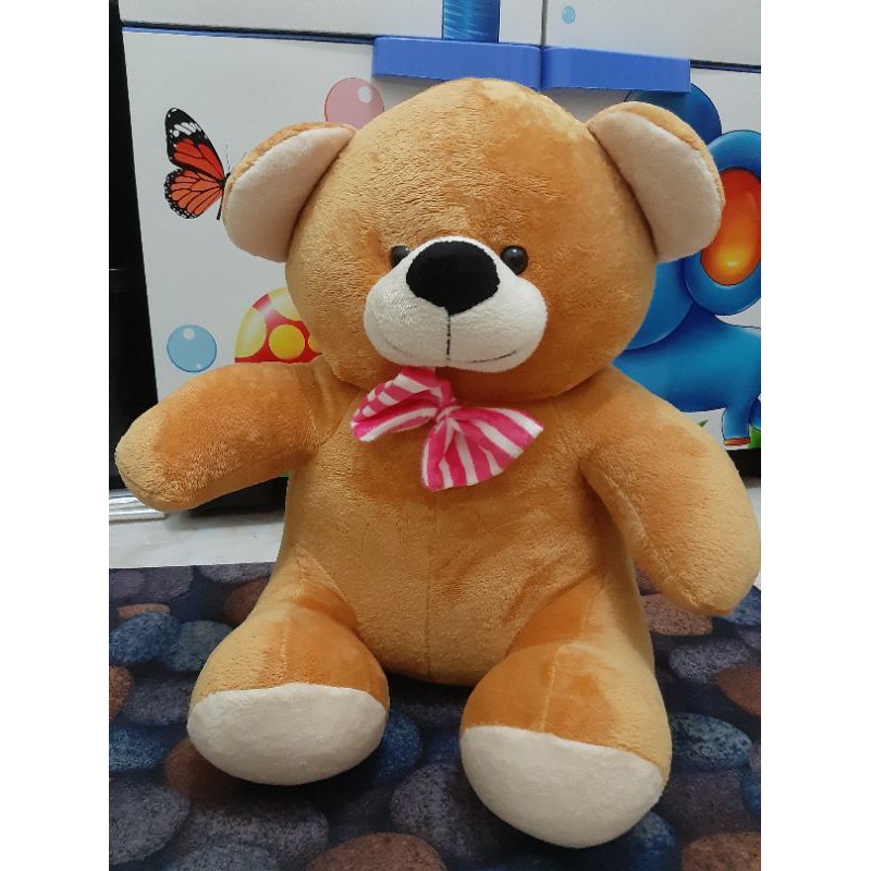 

bear pita