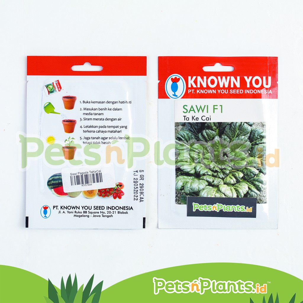 Benih Sawi Pagoda Ta Ke Cai Known You Seed Isi 5 Gram Original Pack