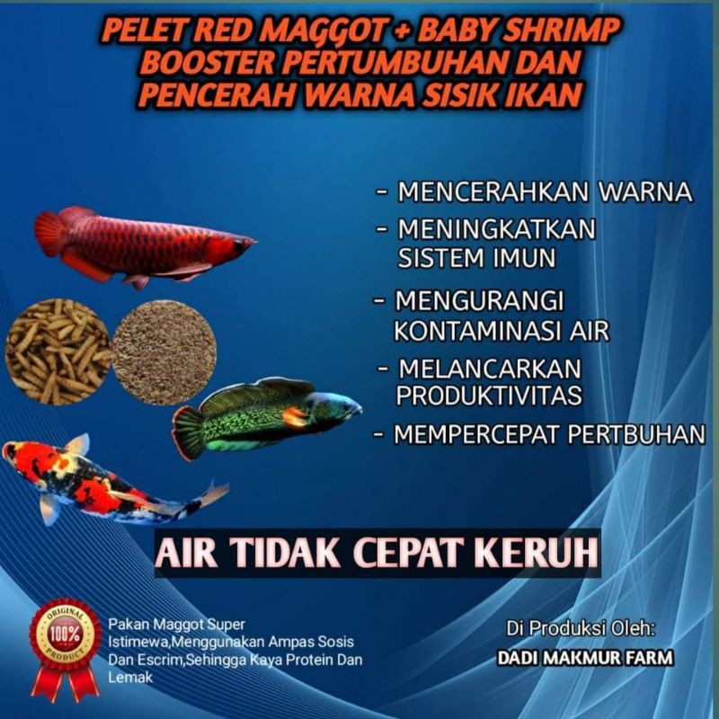 PELET IKAN HIAS KOI  BAHAN UDANG DAN MAGGOT MERAH BOOSTER PERTUMBUHAN DAN WARNA SISIK IKAN