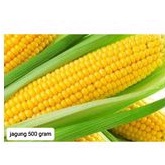 

jagung 500 gram fresh