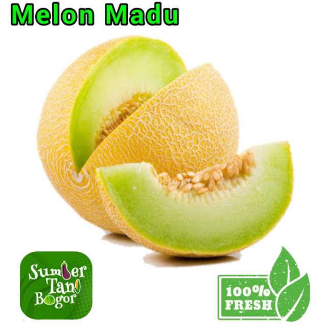 

MELON MADU 1.8 KG ~ 2 KG