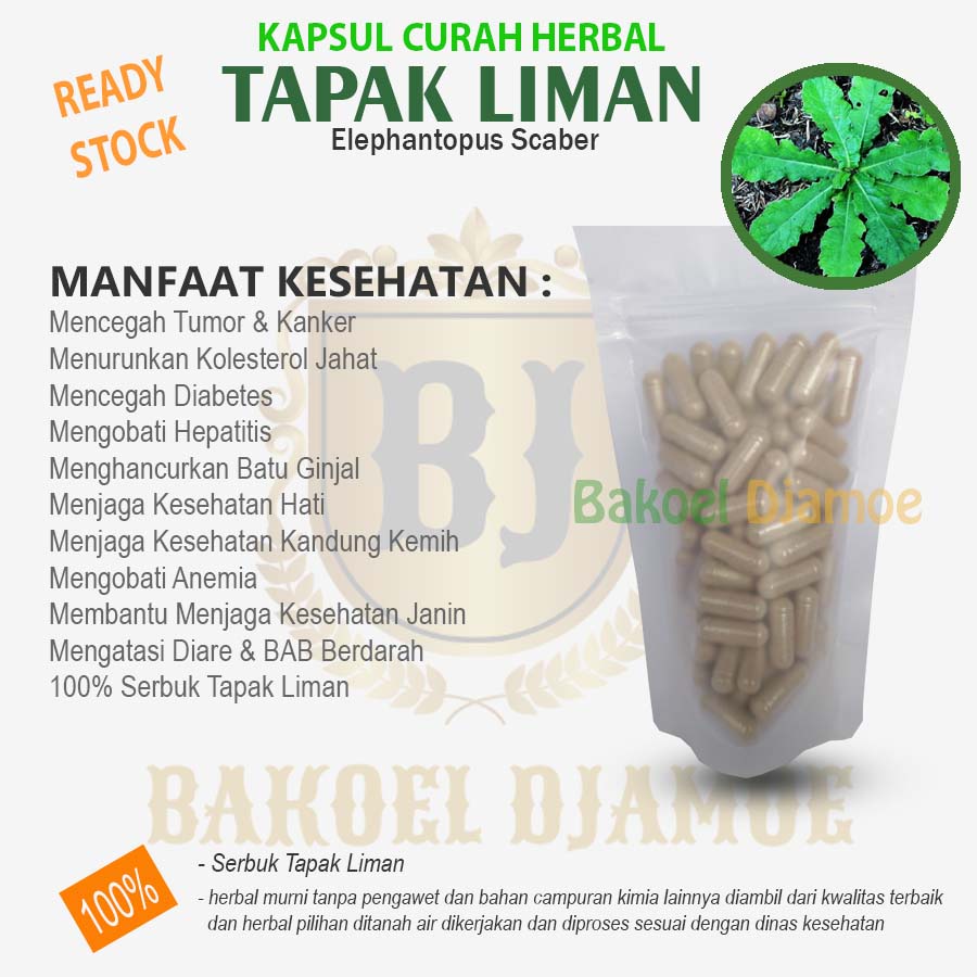 

Kapsul curah herbal tapak liman kapsul herbal hepatitis