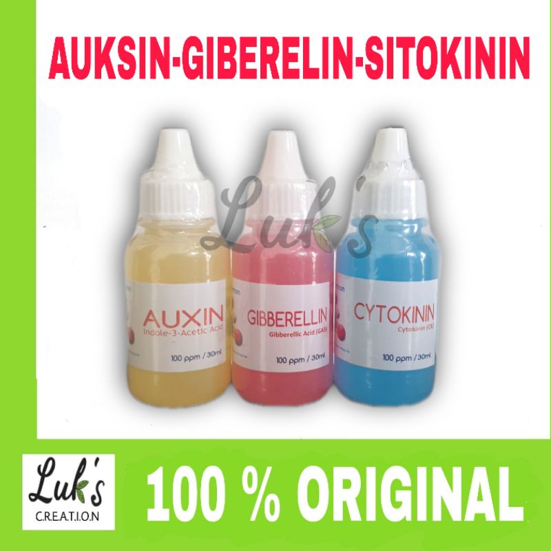 HORMON TANAMAN AUKSIN GIBERELIN SITOKININ 30 ML