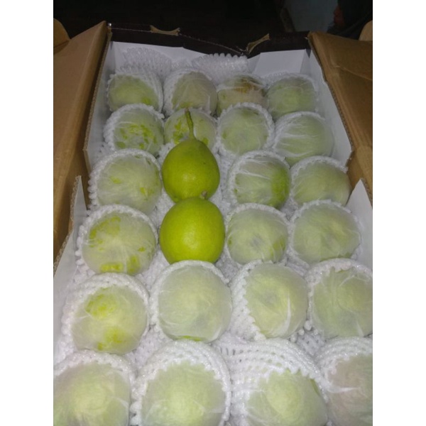 Jual Pear Xiang Lie 1kg Buah Segar Bandung Buah Fresh Bandung Shopee Indonesia 