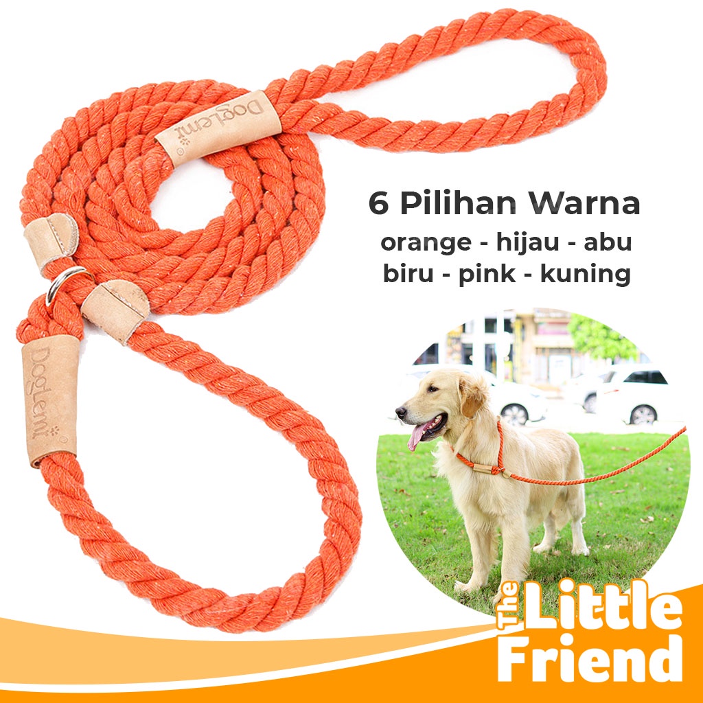 Tali Tuntun Slip On Leash Training Anjing Multicolor dengan Tebal 10mm