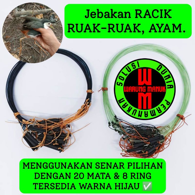 RACIK JERAT RUAK-RUAK JEBAKAN AYAM HUTAN PERANGKAP RUAK-RUAK