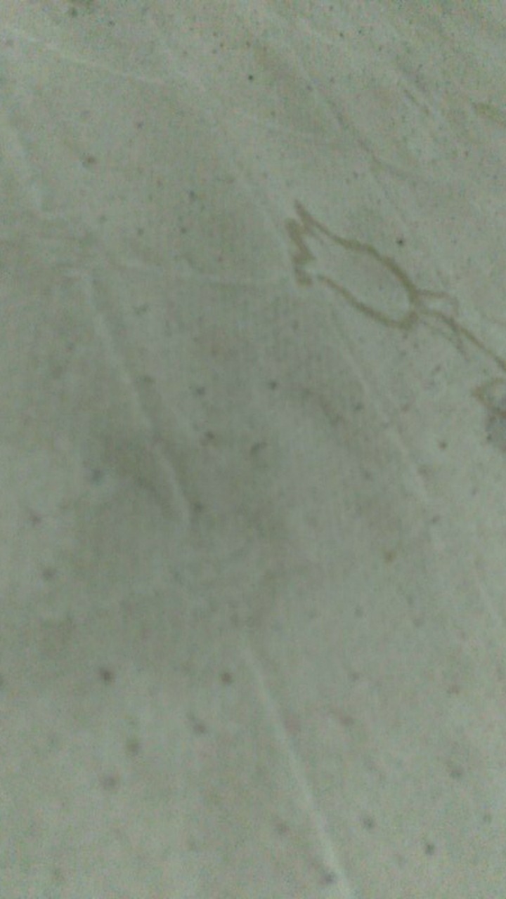 Batik Jumbo Big Size Jumbo Xxl Xxxl 3l 4l 5l Murah Batik Jumbo Couple