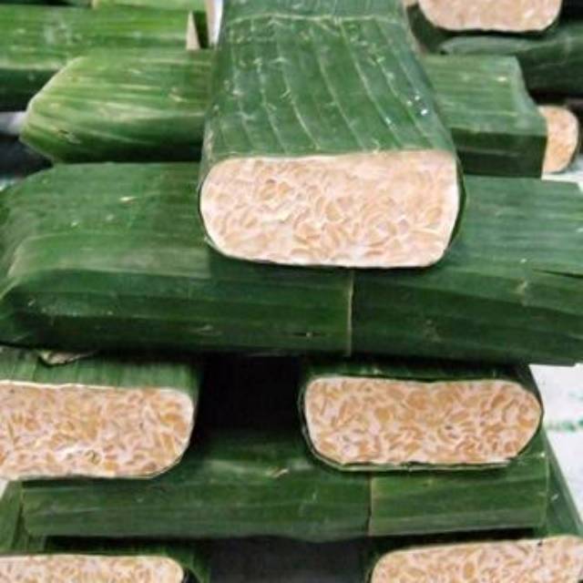 

Tempe 1 papan