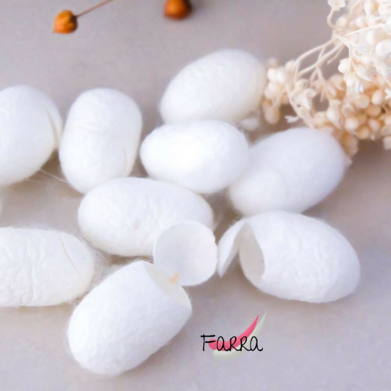 Cocoon by Farra (kepompong ulat sutra) face scrub