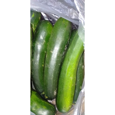 

Timun Zucchini segar