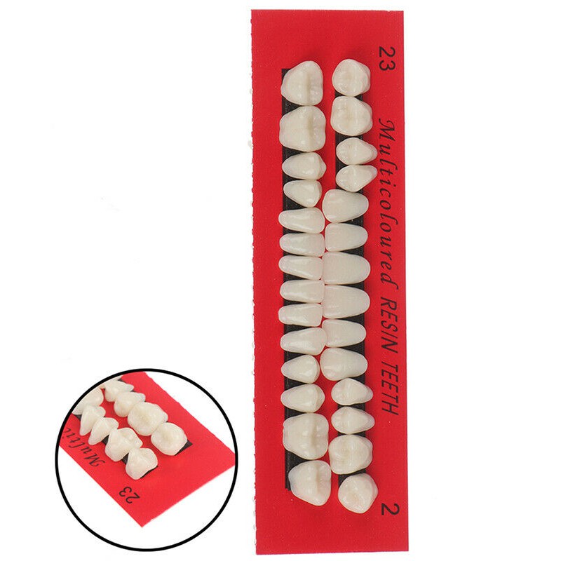 28pcs Gigi Palsu Bagian Atas Dan Bawah Bahan Resin Akrilik 23