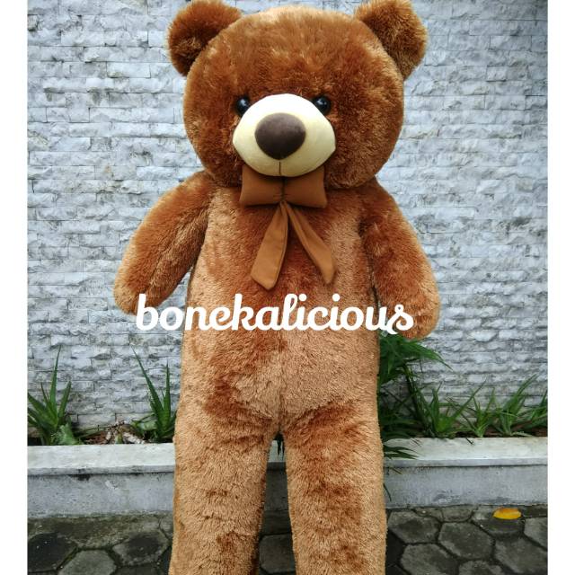  Boneka beruang teddy bear coklat super jumbo besar bigsize 