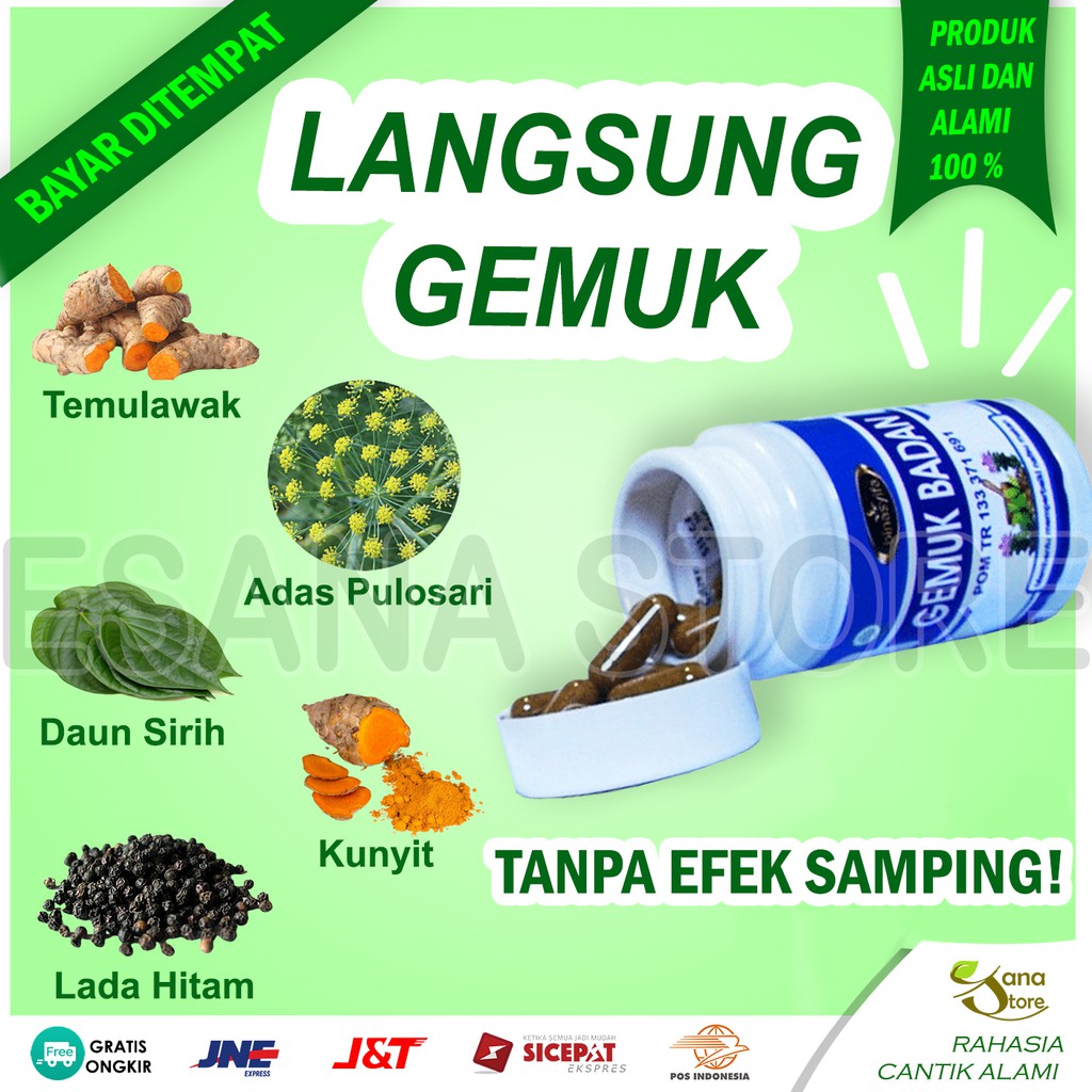 PENGGEMUK BADAN BINASYIFA KAPSUL GEMUK BADAN BINA SYIFA PENAMBAH BERAT NAFSU MAKAN PENGEMUK ES01