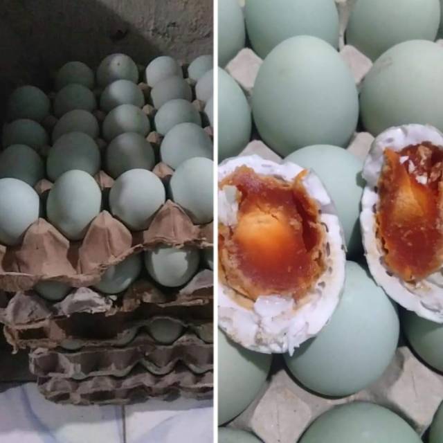 

Telor asin pangon asli brebes