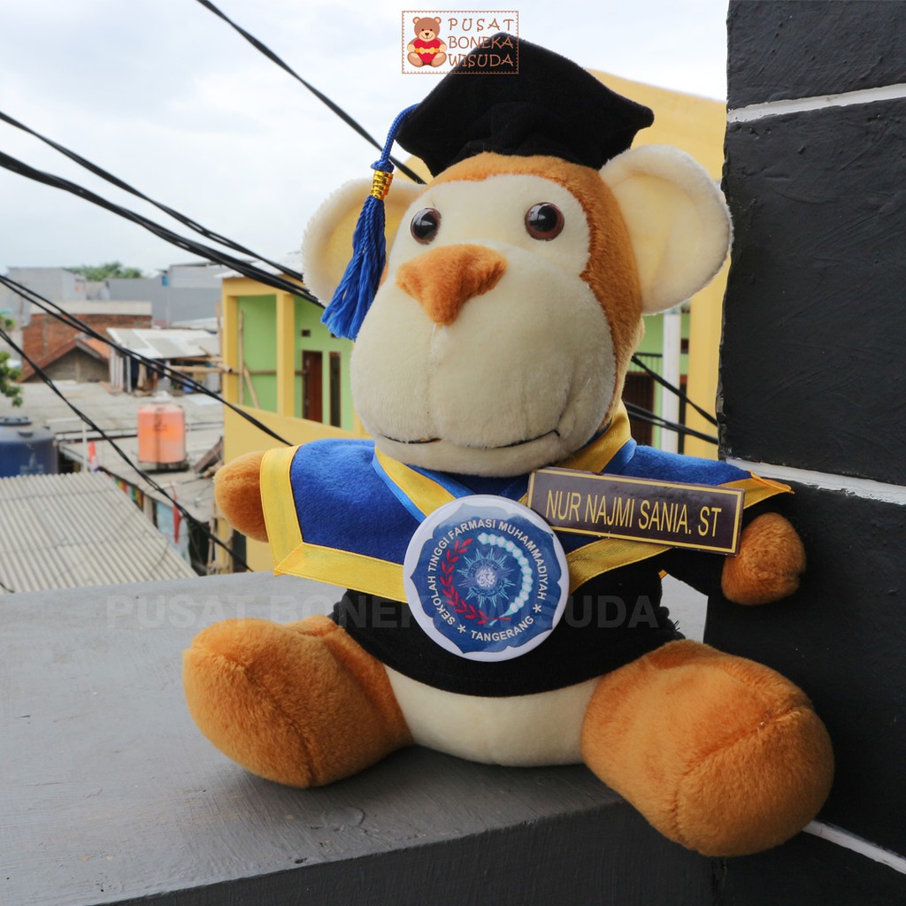 Boneka Wisuda Monkey Pria Cowo Cute Monyet Kera Kado Wisuda Hadiah Sidang skripsi Murah Laki laki