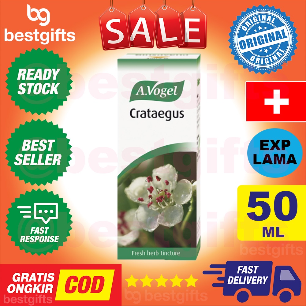 A VOGEL CRATAEGUS KESEHATAN FUNGSI JANTUNG PENINGKATAN ALIRAN DARAH ARTERI KORONER 50 ML