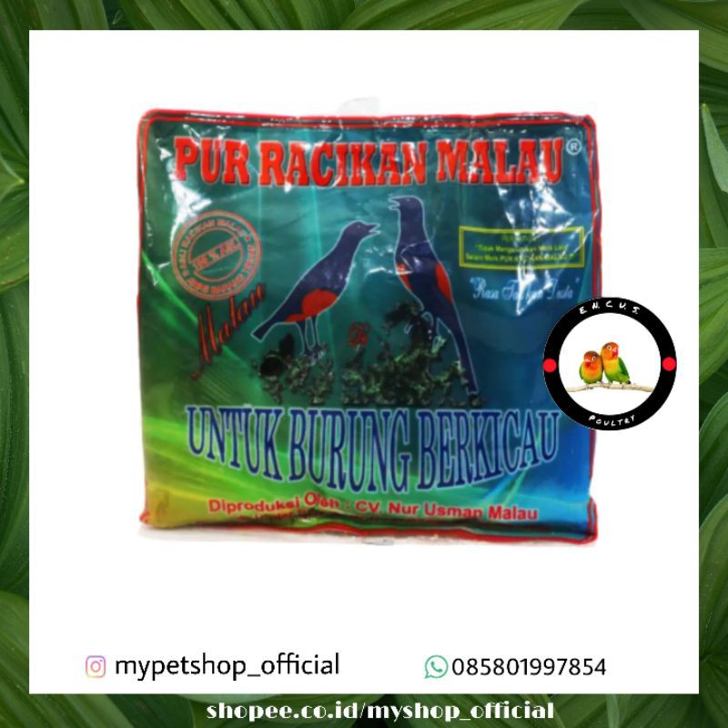 PAKAN BURUNG MURAI KACER PUR RACIKAN MALAU